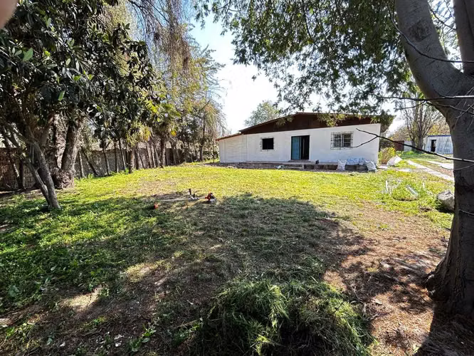 PARCELA EN ARRIENDO EN BUIN  (172795)