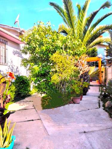Venta Casa con departamento interior a pasos del centro y playa  | El Quisco - Imagen 21