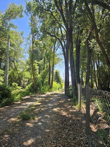 REBAJADAS , PARCELAS CAMINO KM17 CATO - CHILLÁN