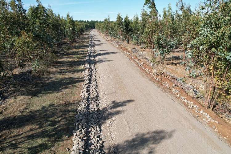 PARCELAS ORO VERDE CON PROYECTO ELECTRICO - CHILLAN