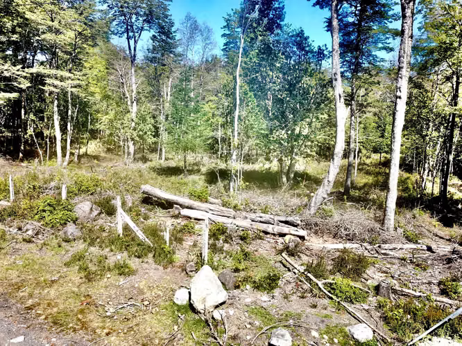 Venta Parcela Villarrica Alto De Pino Huacho  (172899)
