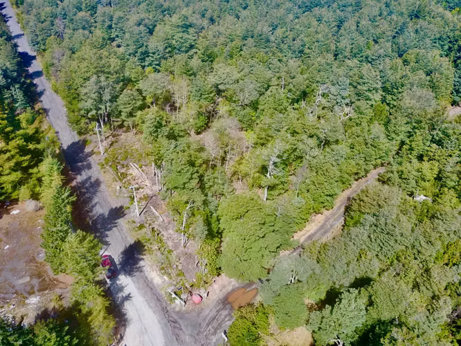 Venta Parcela Villarrica Alto De Pino Huacho  (172899)