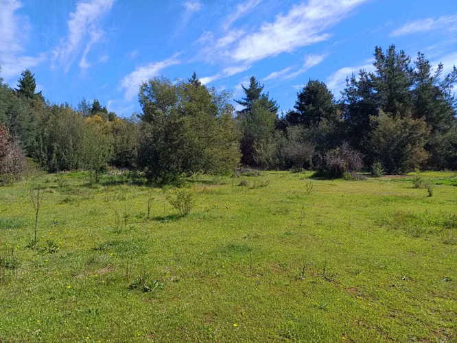 Parcela en venta en sector Rabones, Colbún (172898)