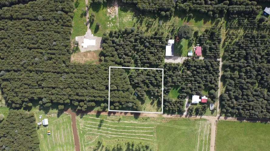 Terreno Plano con Bosque Nativo - Aysén (172857)