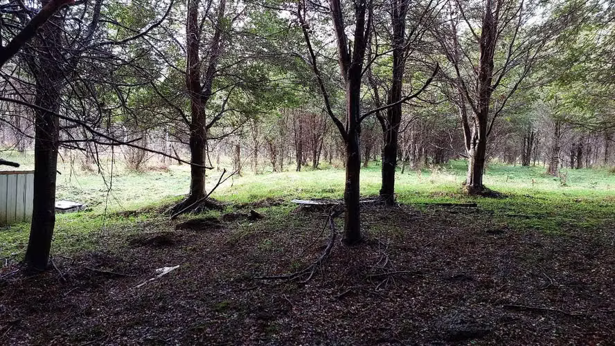 Terreno Plano con Bosque Nativo - Aysén (172857)