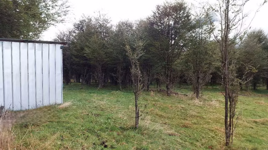 Terreno Plano con Bosque Nativo - Aysén (172857)