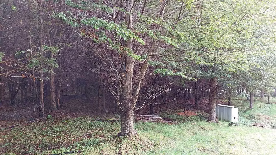 Terreno Plano con Bosque Nativo - Aysén (172857)