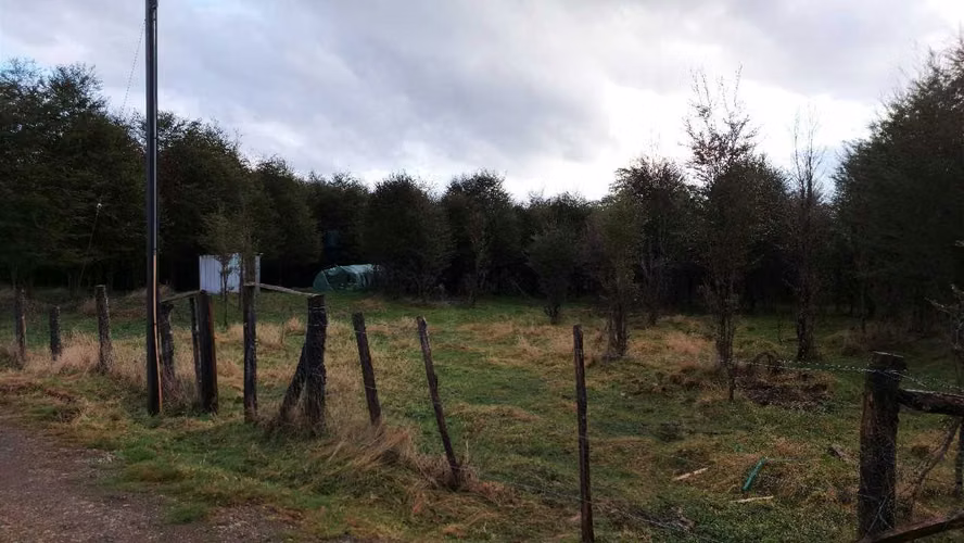 Terreno Plano con Bosque Nativo - Aysén (172857)