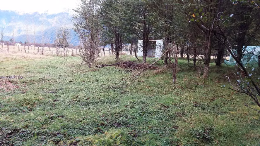 Terreno Plano con Bosque Nativo - Aysén (172857)