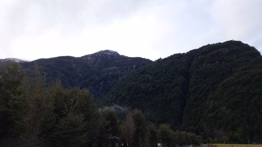 Terreno Plano con Bosque Nativo - Aysén (172857)