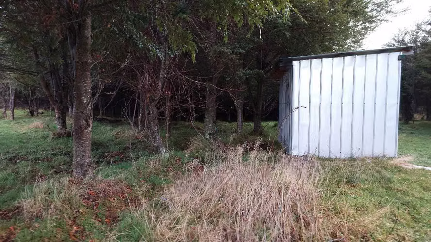 Terreno Plano con Bosque Nativo - Aysén (172857)