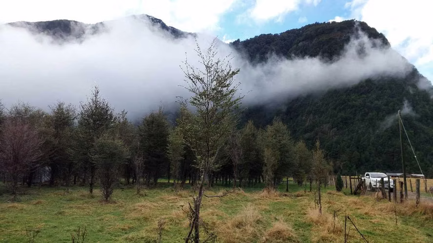 Terreno Plano con Bosque Nativo - Aysén (172857)