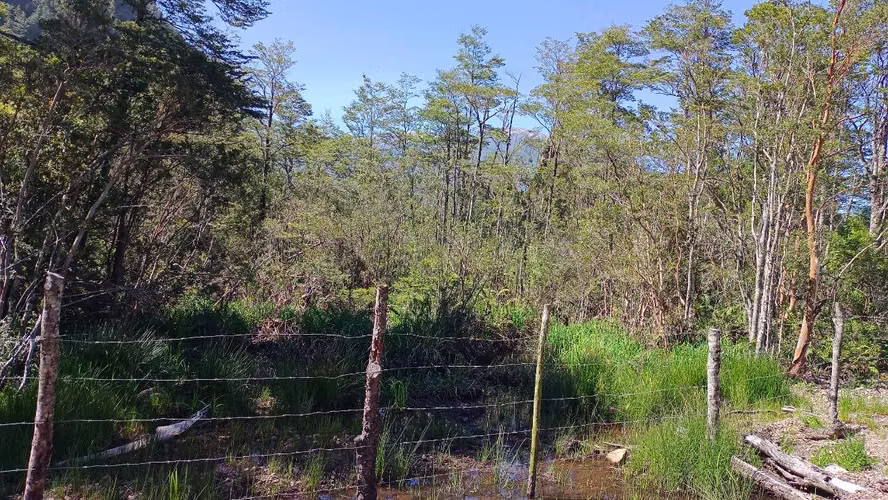 Venta de Parcela Sector Bahía Acantilada (172853)