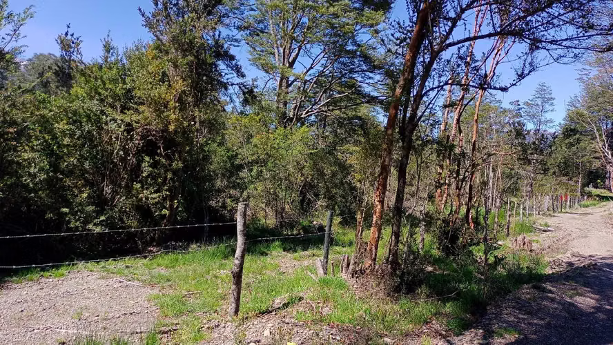 Venta de Parcela Sector Bahía Acantilada (172853)