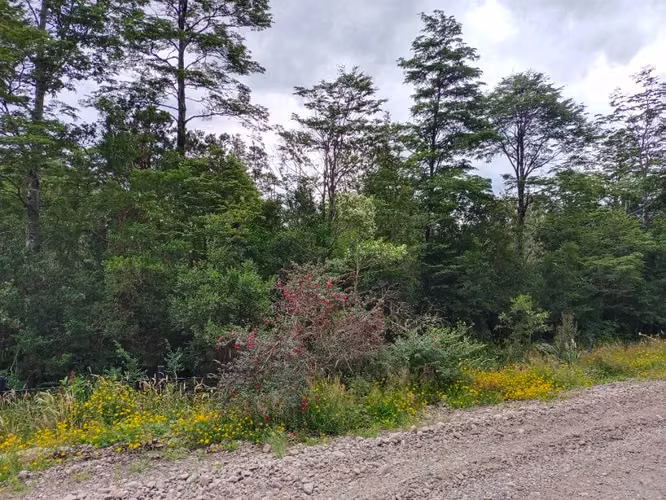 Venta de Parcela Sector Bahía Acantilada (172853)