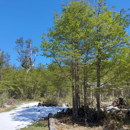 Terreno 35.000m² en Villa Ortega, Coyhaique (172846)
