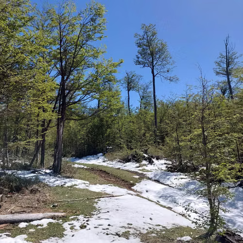 Terreno 35.000m² en Villa Ortega, Coyhaique (172846)