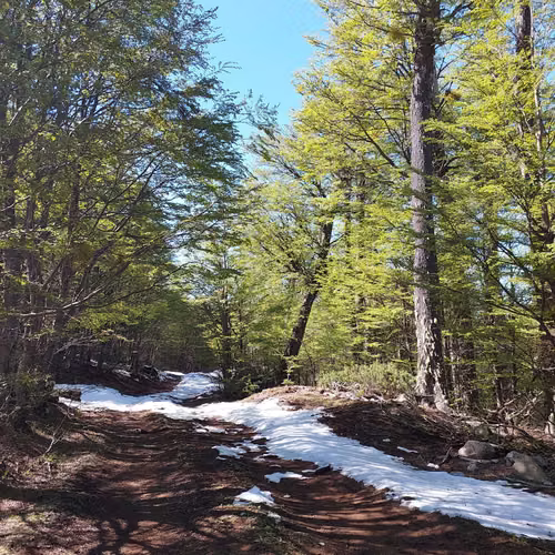 Terreno 35.000m² en Villa Ortega, Coyhaique (172846)