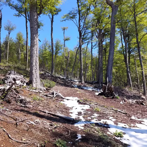 Terreno 35.000m² en Villa Ortega, Coyhaique (172846)