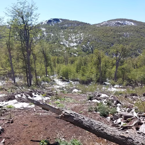 Terreno 35.000m² en Villa Ortega, Coyhaique (172846)
