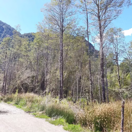 Venta de Parcela en Puerto Piedra - Aysén (172845)