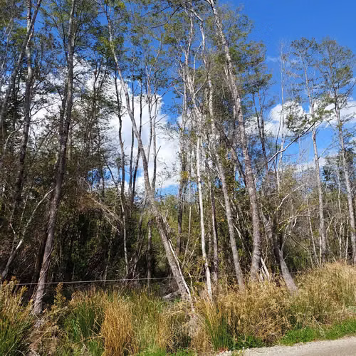 Venta de Parcela en Puerto Piedra - Aysén (172845)