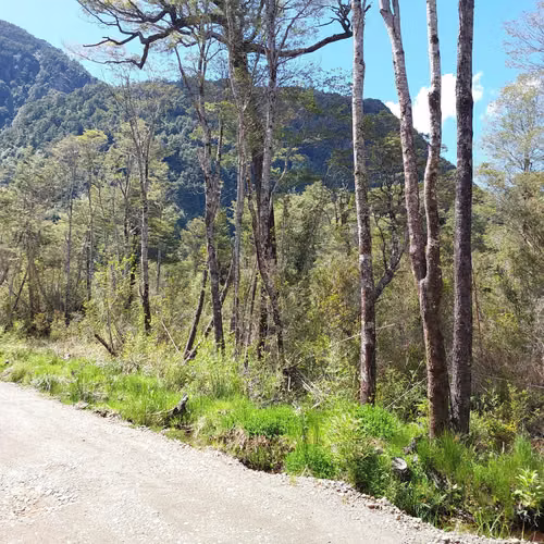 Venta de Parcela en Puerto Piedra - Aysén (172845)