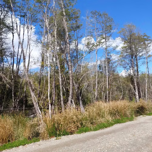 Venta de Parcela en Puerto Piedra - Aysén (172845)