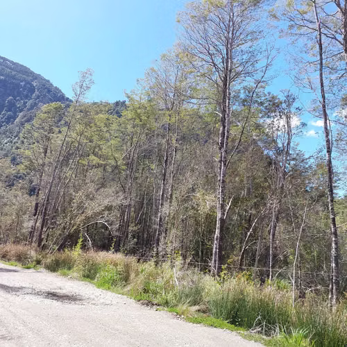 Venta de Parcela en Puerto Piedra - Aysén (172845)