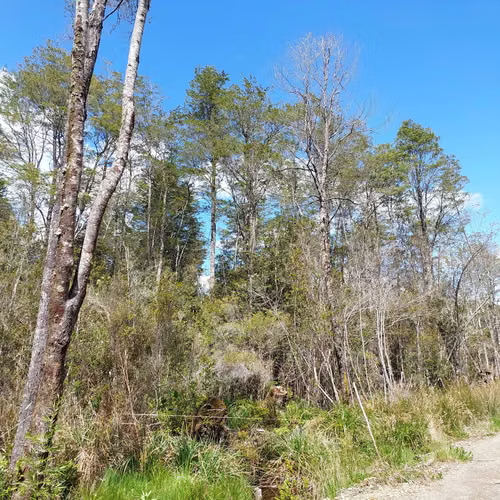 Venta de Parcela en Puerto Piedra - Aysén (172845)