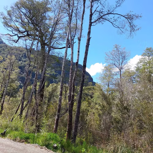 Venta de Parcela en Puerto Piedra - Aysén (172845)
