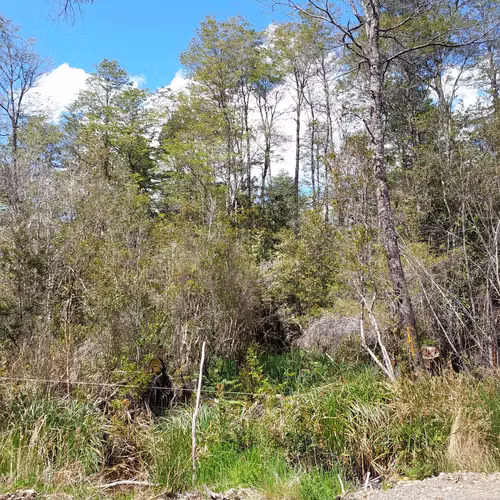 Venta de Parcela en Puerto Piedra - Aysén (172845)