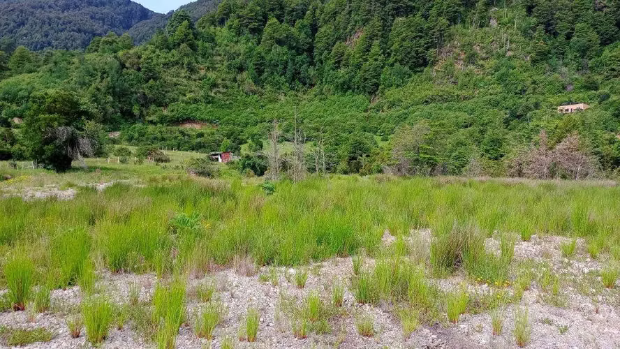 Parcela en Km 14 Ruta 240, Aysén - APR (172835)