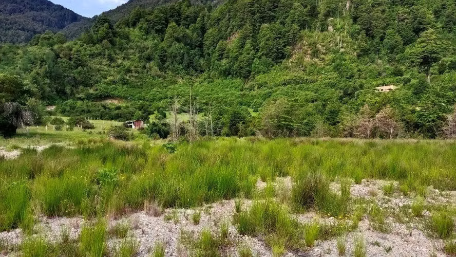 Parcela en Km 14 Ruta 240, Aysén - APR (172835)