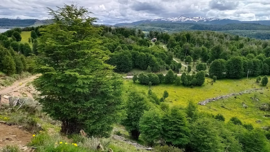 Venta de Terreno en Lago Pólux, Coyhaique (172833)