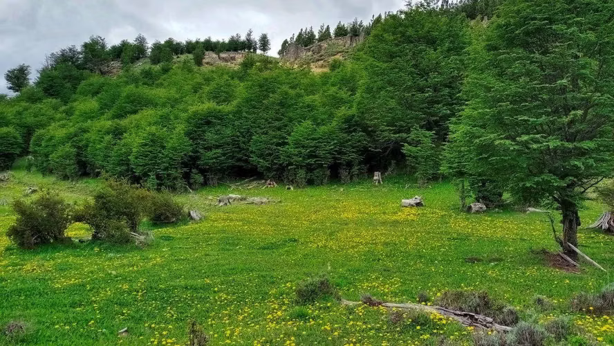 Venta de Terreno en Lago Pólux, Coyhaique (172833)