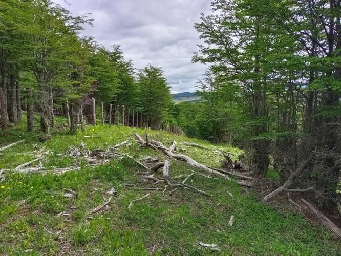 Venta de Terreno en Lago Pólux, Coyhaique (172833)