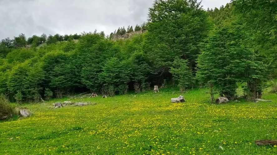Venta de Terreno en Lago Pólux, Coyhaique (172833)