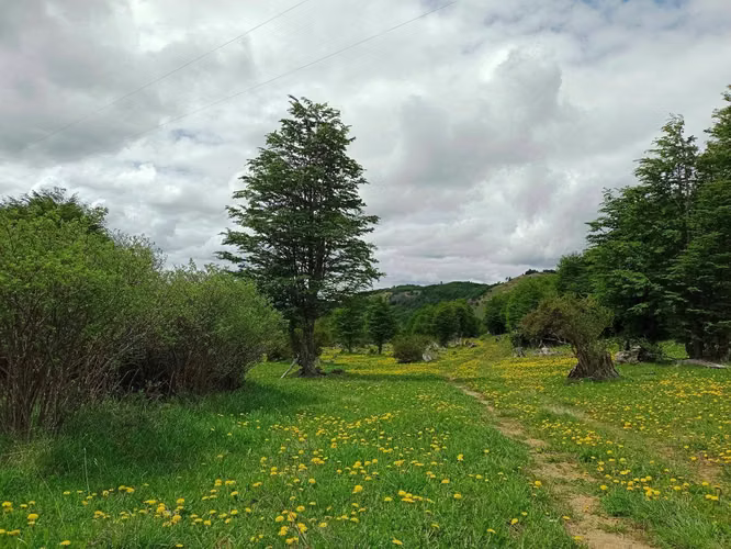 Venta de Terreno en Lago Pólux, Coyhaique (172833)