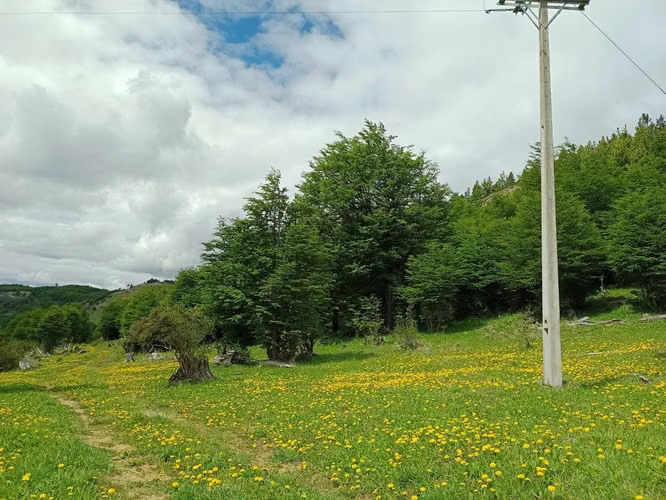 Venta de Terreno en Lago Pólux, Coyhaique (172833)