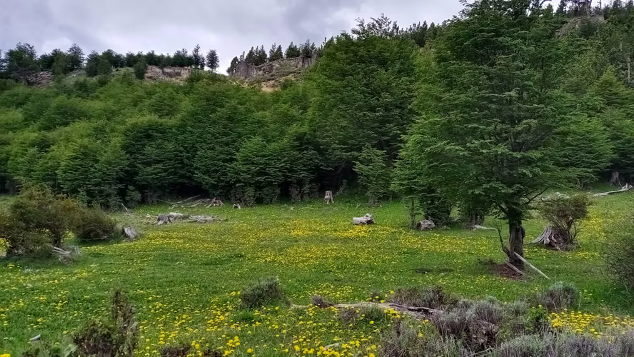 Venta de Terreno en Lago Pólux, Coyhaique (172833)