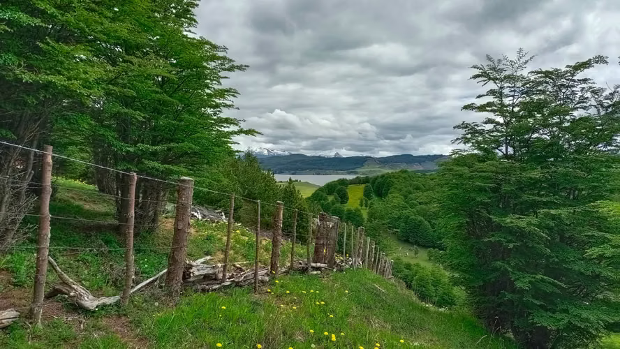 Venta de Terreno en Lago Pólux, Coyhaique (172833)
