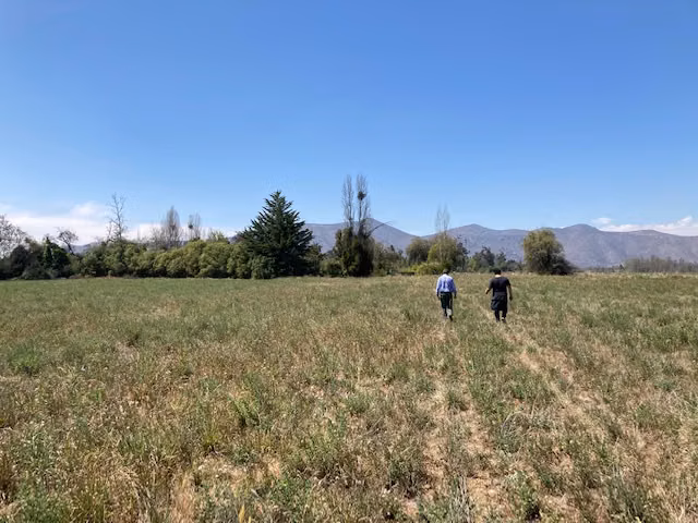 Parcela en Venta en Loteo privado 5.000 Mts en Calera de Tango - Imagen 8