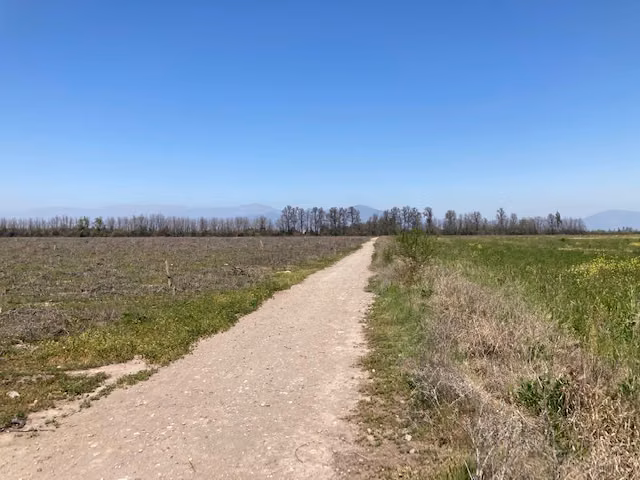 Parcela en Venta en Loteo privado 5.000 Mts en Calera de Tango - Imagen 5