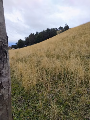 Parcela de media hectarea en Villa Medina, Valle Simpson, Coyhaique