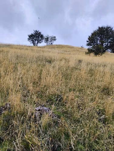 Parcela de media hectarea en Villa Medina, Valle Simpson, Coyhaique