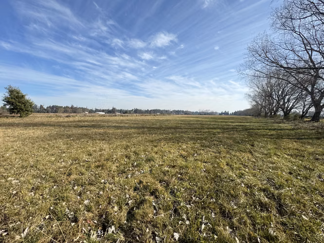 Campo agrícola 45 has con riego acciones de agua (173026)