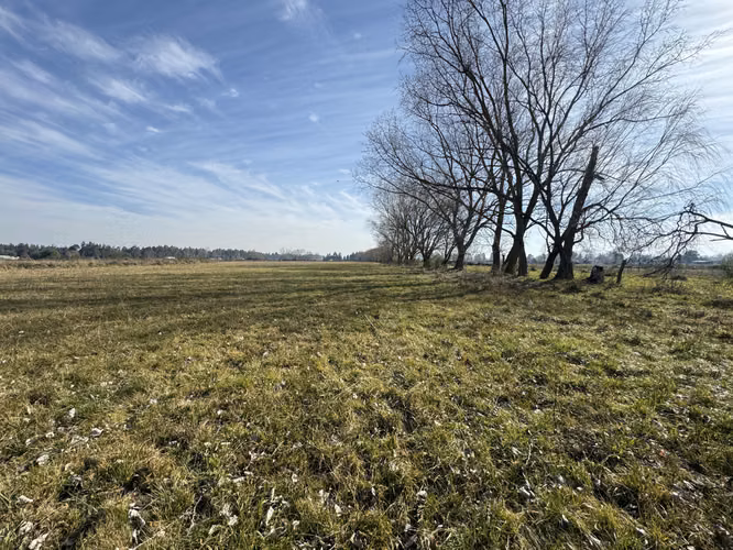 Campo agrícola 45 has con riego acciones de agua (173026)