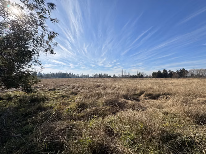 Campo agrícola 45 has con riego acciones de agua (173026)
