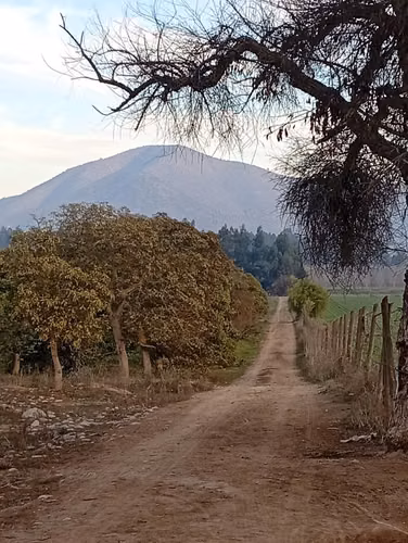Venta de Predio Agrícola de Alto Potencial en Melipilla - Imagen 8